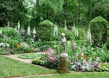 Load image into Gallery viewer, Mar-16