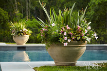 Load image into Gallery viewer, Sep-18