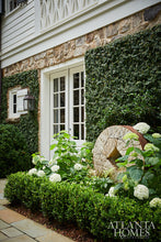 Load image into Gallery viewer, Mar-21