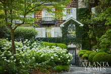 Load image into Gallery viewer, March 2025