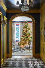 Load image into Gallery viewer, December 2024
