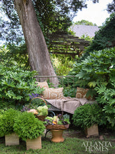 Load image into Gallery viewer, Dec-20