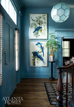 Load image into Gallery viewer, May 2015