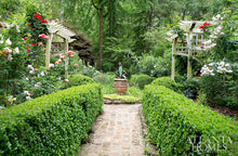 Load image into Gallery viewer, March 2017