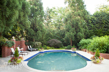 Load image into Gallery viewer, March 2017