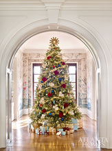 Load image into Gallery viewer, December 2019